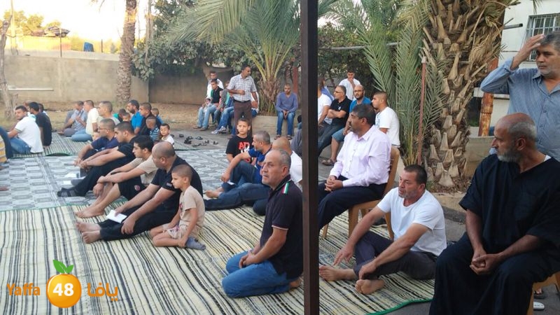 dahmash e33ed (6).JPG